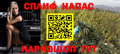 ALPHA PVP Гудермес