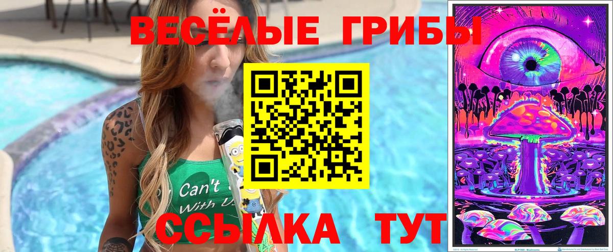 Псилоцибиновые грибы мухоморы  Вход с VPN  Ефремов  Галлюциногенные грибы GOLDEN TEACHER 