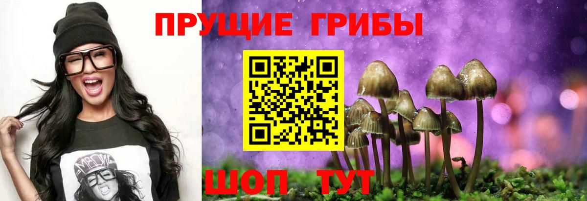 Псилоцибиновые грибы мицелий Ефремов